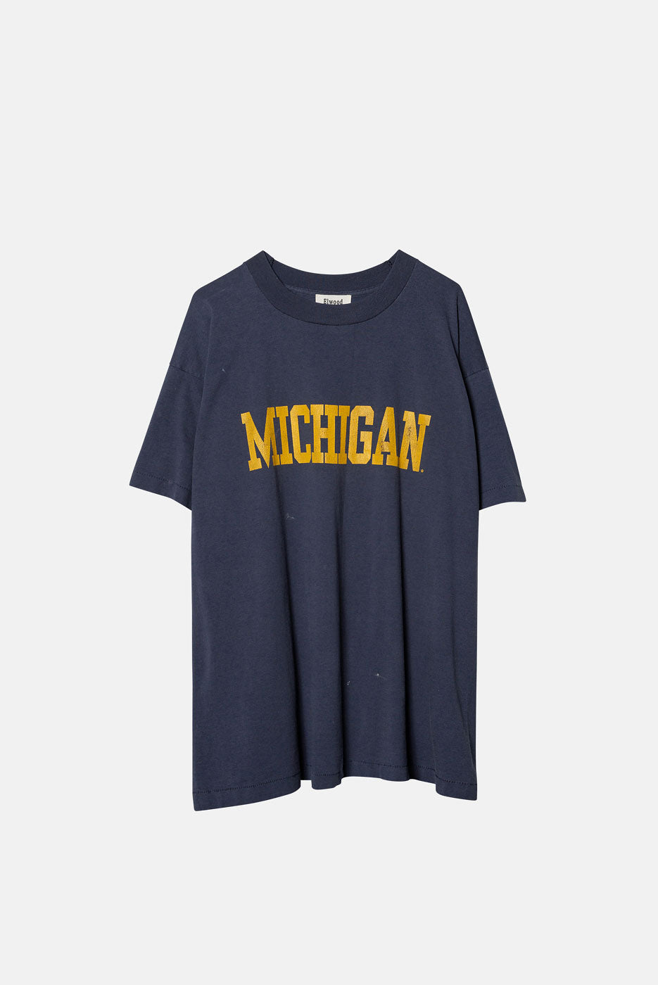 VINTAGE MICHIGAN TEE