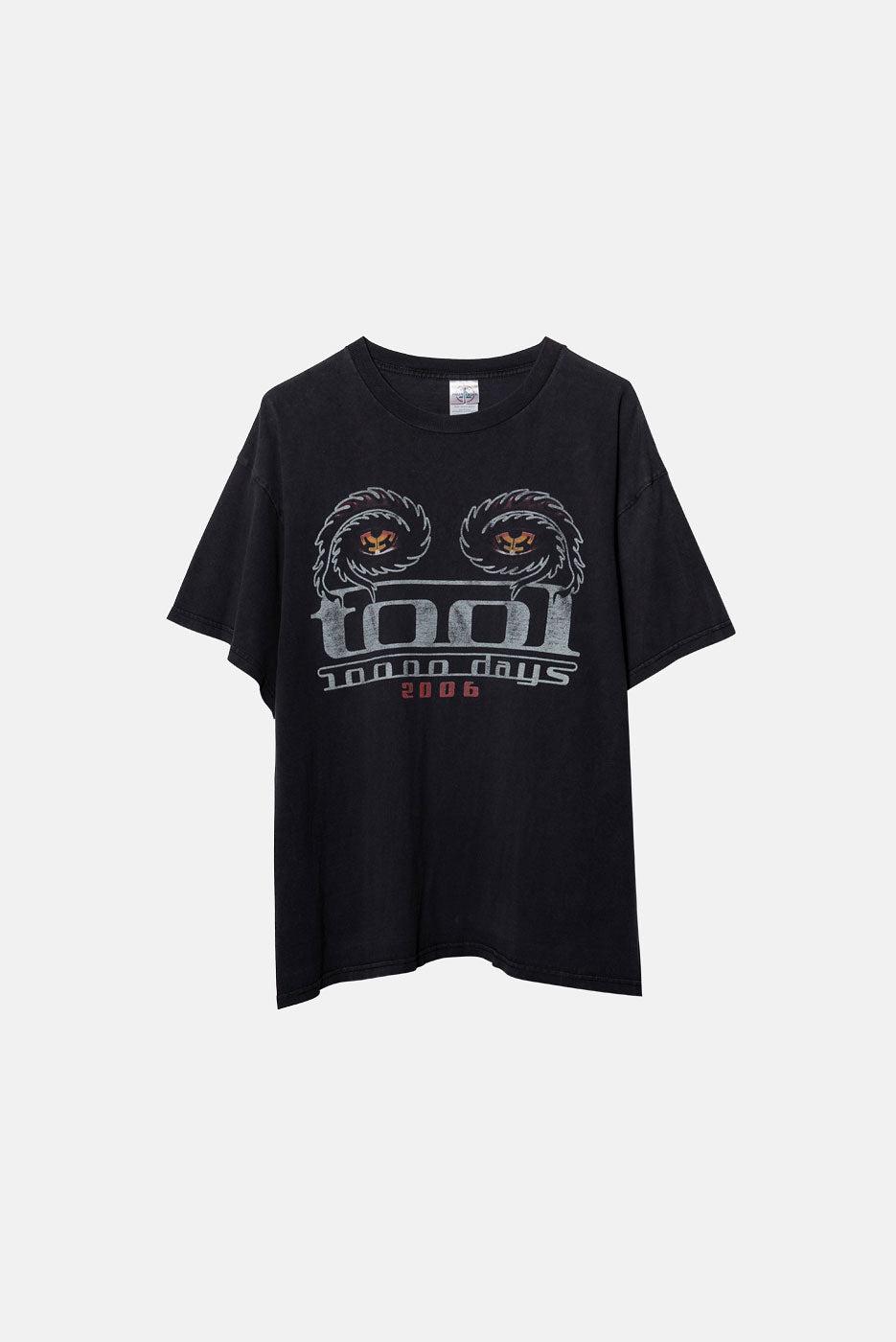 VINTAGE 06' TOOL TOUR TEE